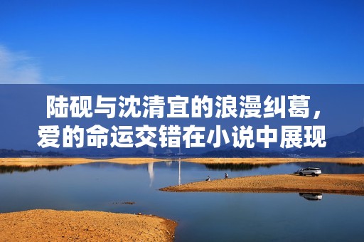 陆砚与沈清宜的浪漫纠葛，爱的命运交错在小说中展现